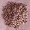 Aniseed - bad breath, carminative,anys